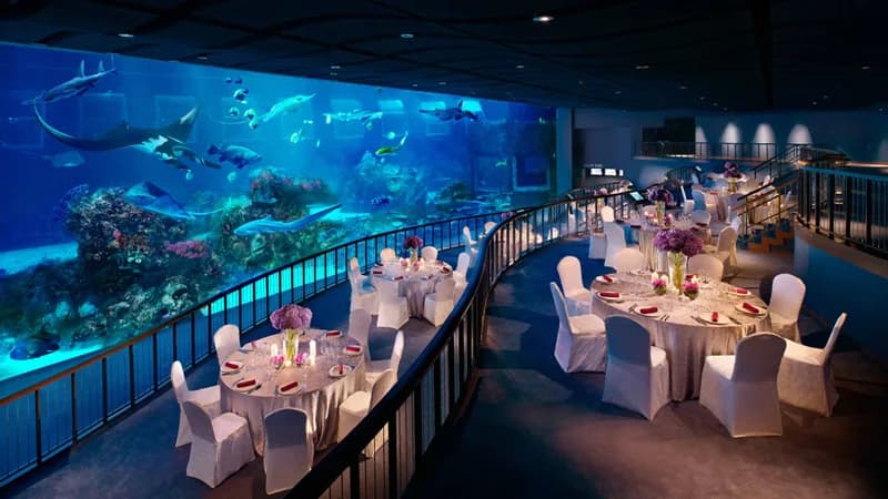 RWS S.E.A. Aquarium - Ocean Gallery wedding venue