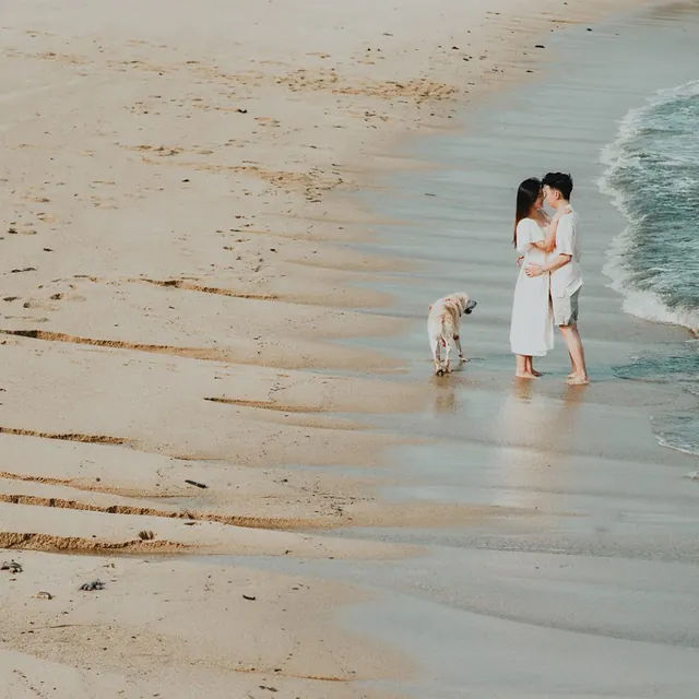 WMA Production wedding profile image